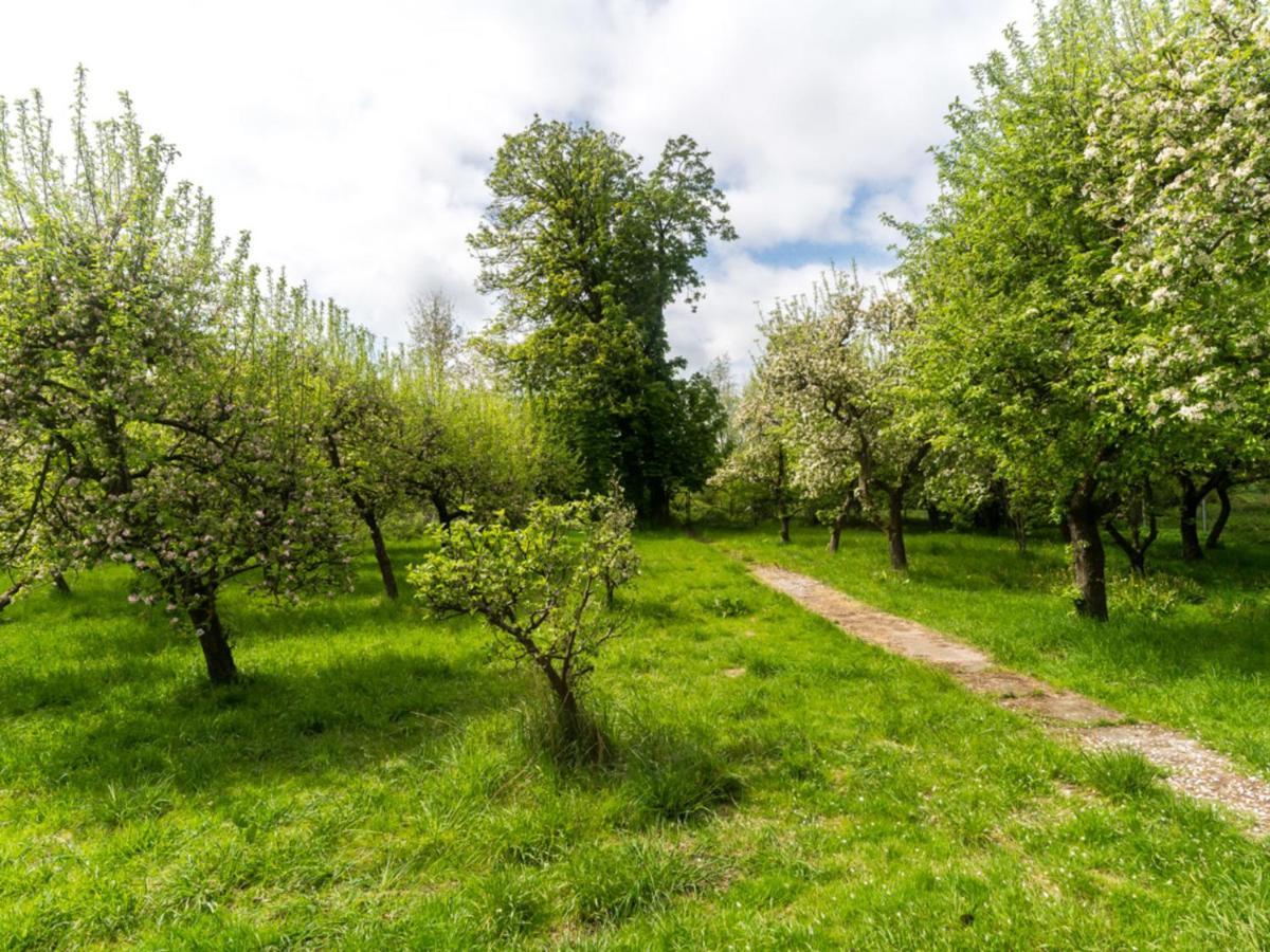 Gartenbungalow 2 Rechte Seite Klein Pravtshagen Bagian luar foto